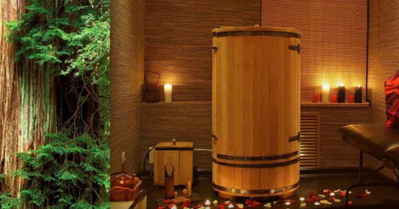 Hotel Palace Băile Govora 